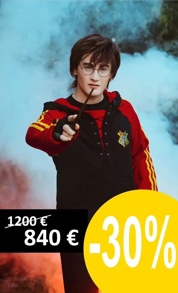 Costume Harry Potter